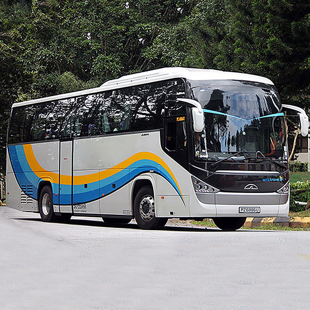 travel forte bus