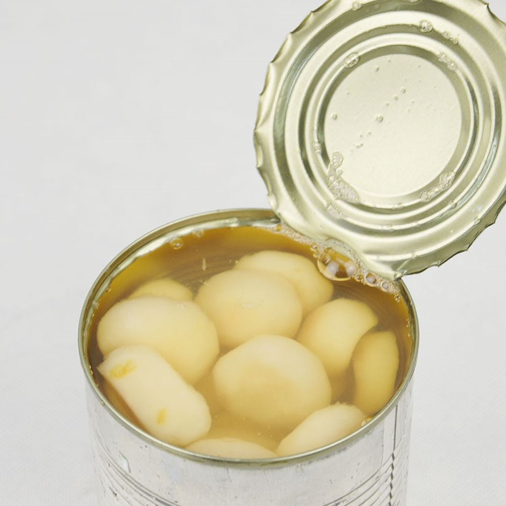 Canned Water Chestnut